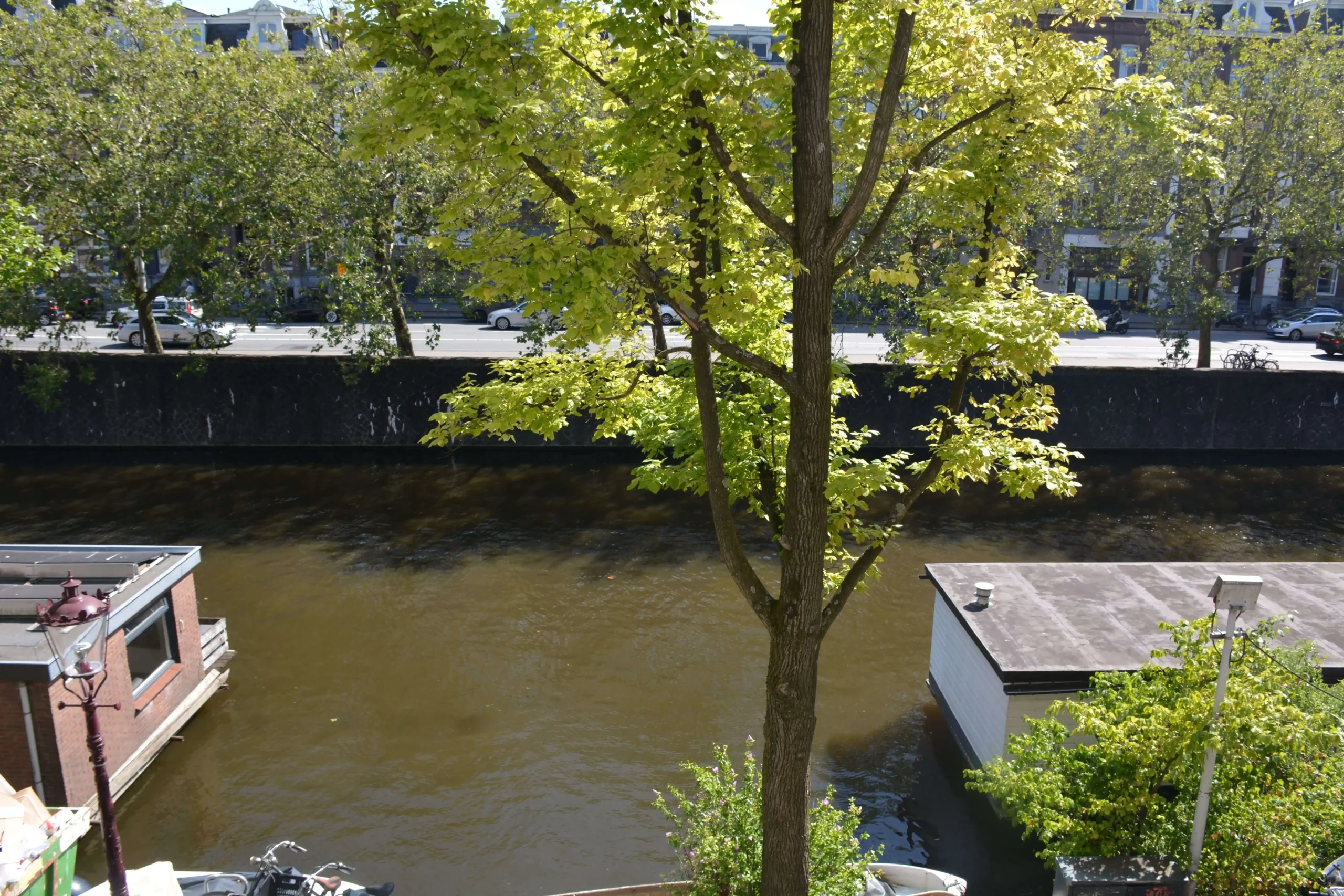 imgi_4_DSC_2288 Cropped